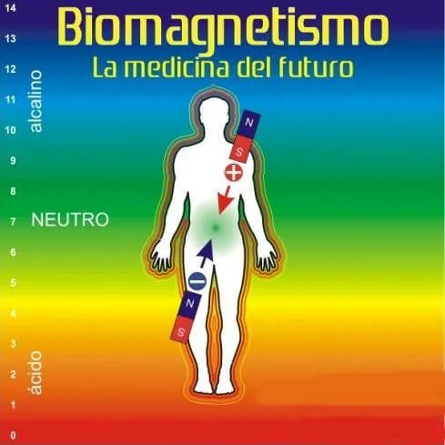 Campos magnéticos de nuestro cuerpo.