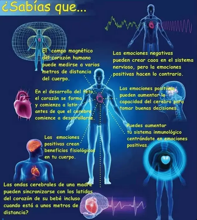Infografía sobre biomagnetismo y el campo magnético del corazón explicando la relación entre emociones positivas y salud.